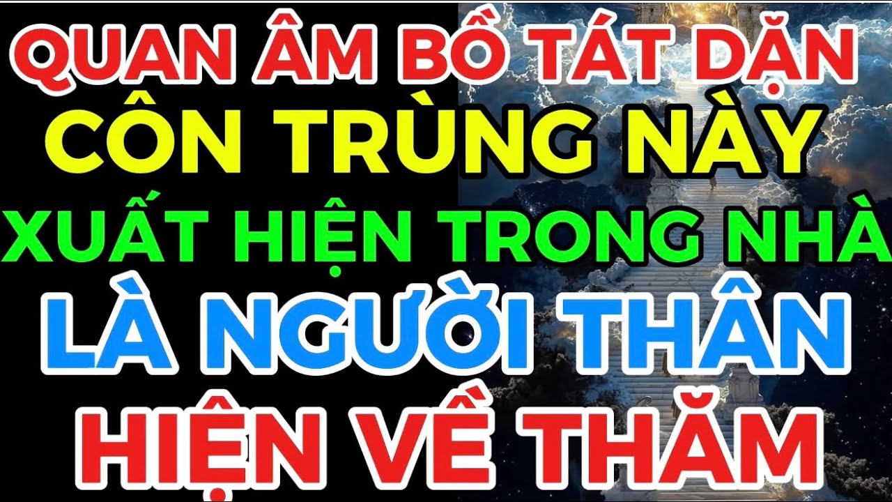 QUAN ÂM BỒ TÁT nhắc  nhở: nếu thấy 3 loại côn trùng này trong nhà con là người thân hiện về thăm 