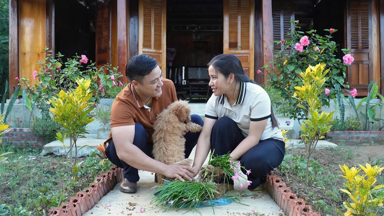 Dr. Long goes to see his old boss. Can he help Dr. Long's career?/ L&yacute; Tử Yến