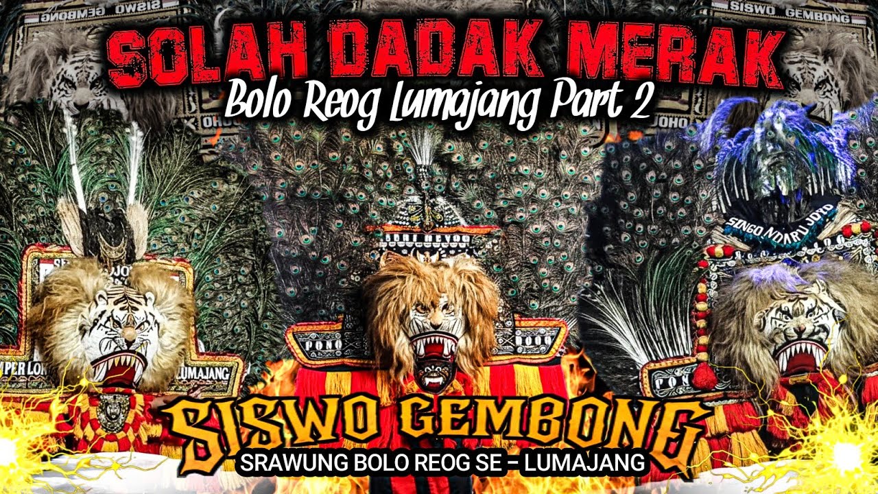 JOS JIS ! SOLAH DADAK MERAK BOLO REOG LUMAJANG PART 2 DI ACARA HAJATAN SISWO GEMBONG 2025 