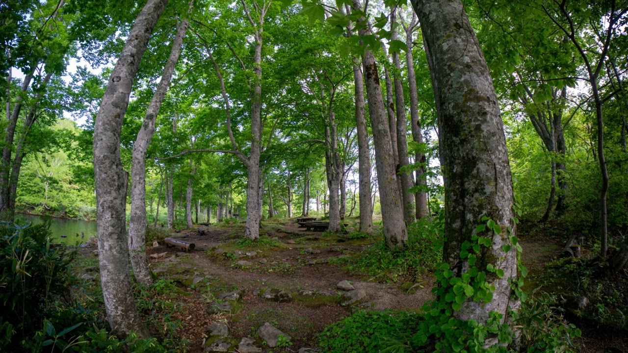 山形県山形市西田ライブカメラ Yamagata Yamagatashi Live camera.world.cam