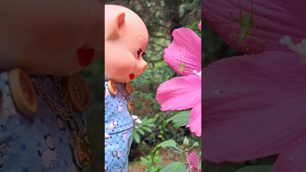 Madame Alexander pig sees a grasshopper on a flower