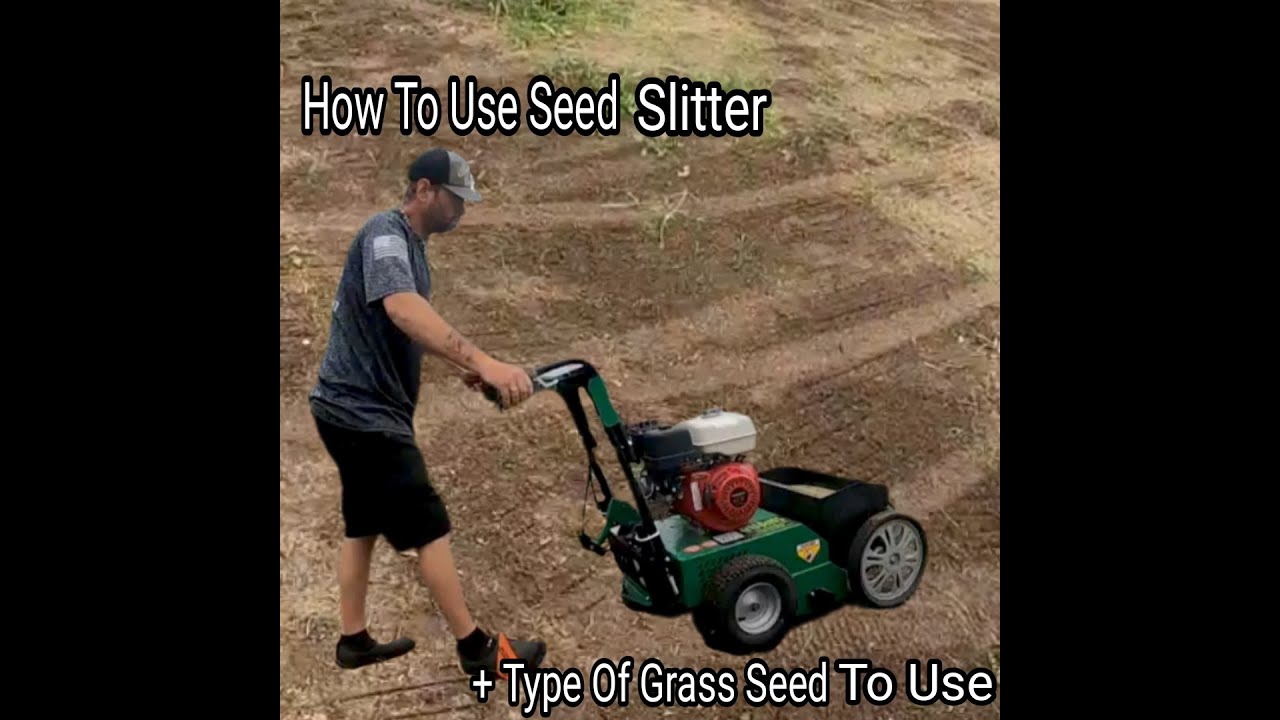 How To Seed Using A Seed Slitter And What Types Of Grass Seed To Use!