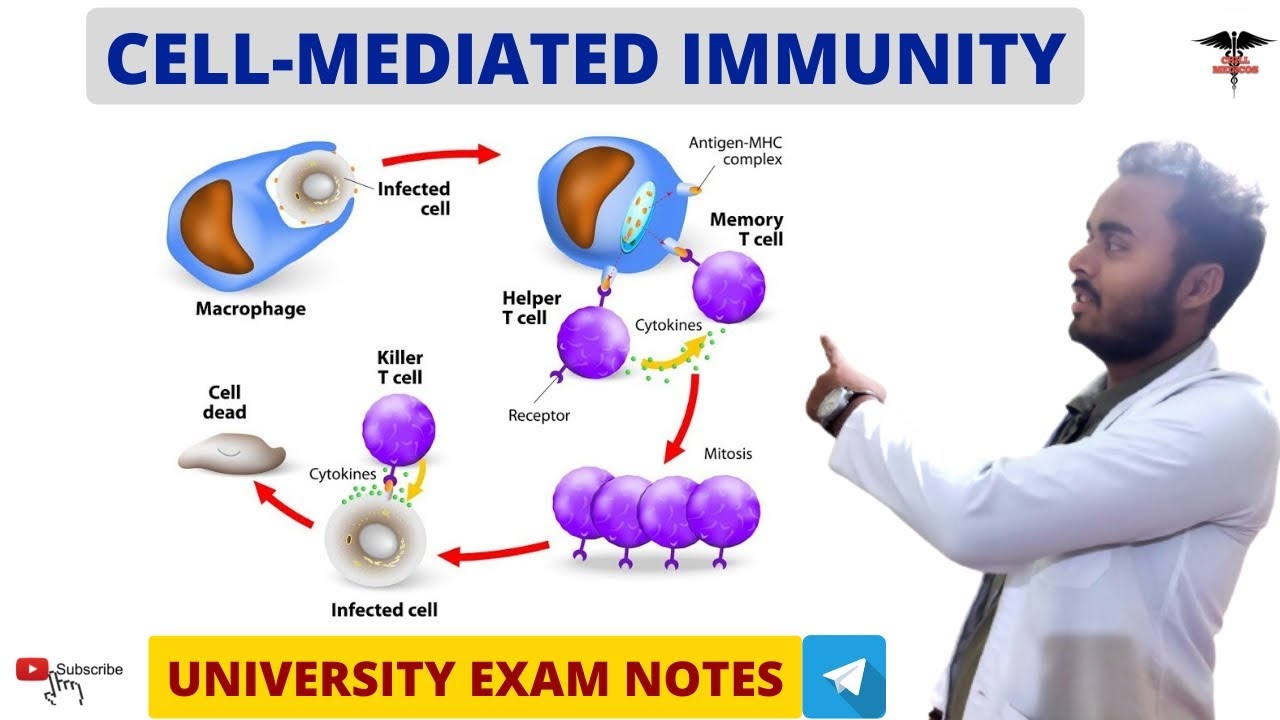 Cell Mediated Immunity || Blood Physiology |MBBS , BDS , BMLT , DMLT , Nursing lecturers