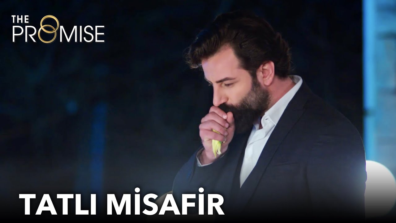Geçmişi hatırlatan tatlı misafir | Yemin 350. Bölüm