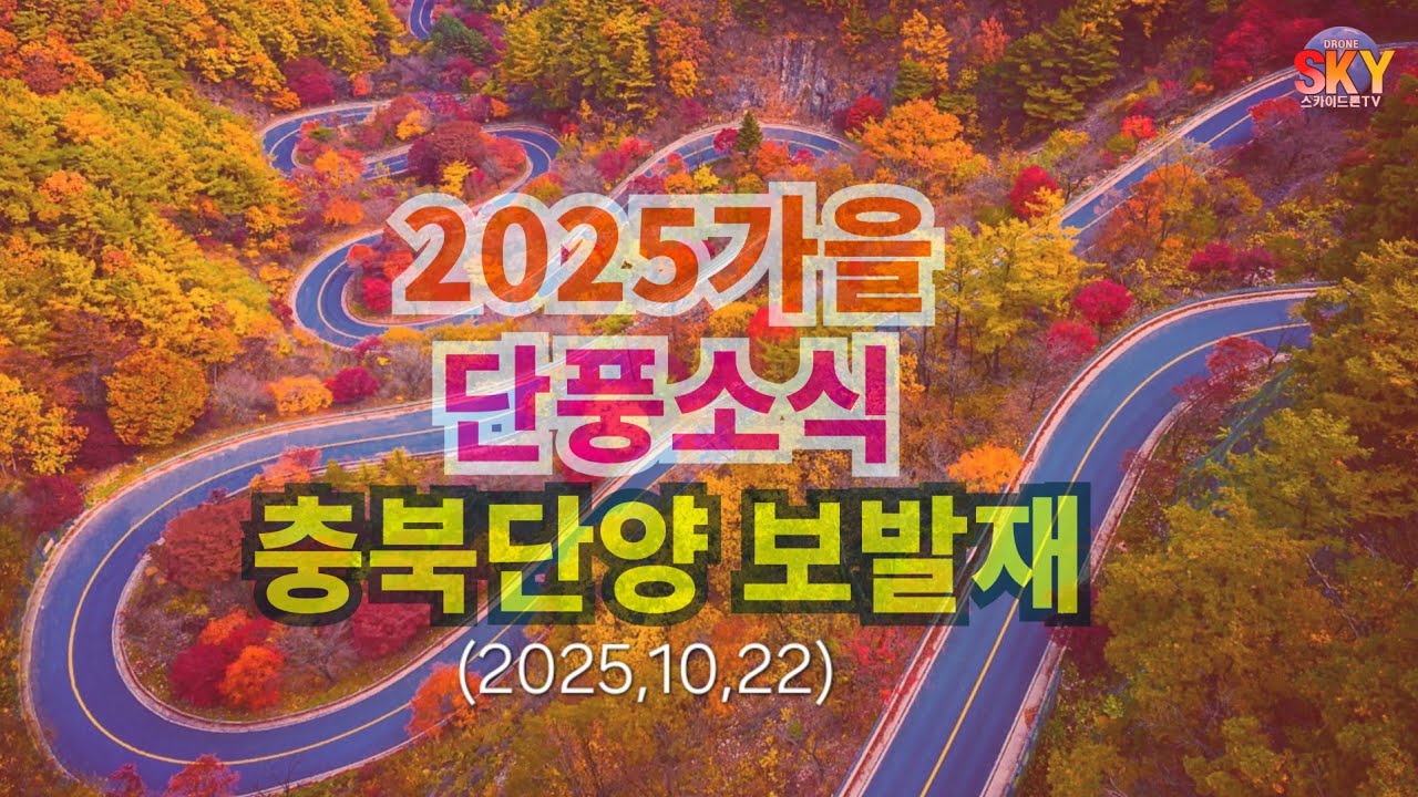 2025가을 단풍소식 충북 단양군 보발리 보발재단풍소식 4K드론영상(2025/10/22)