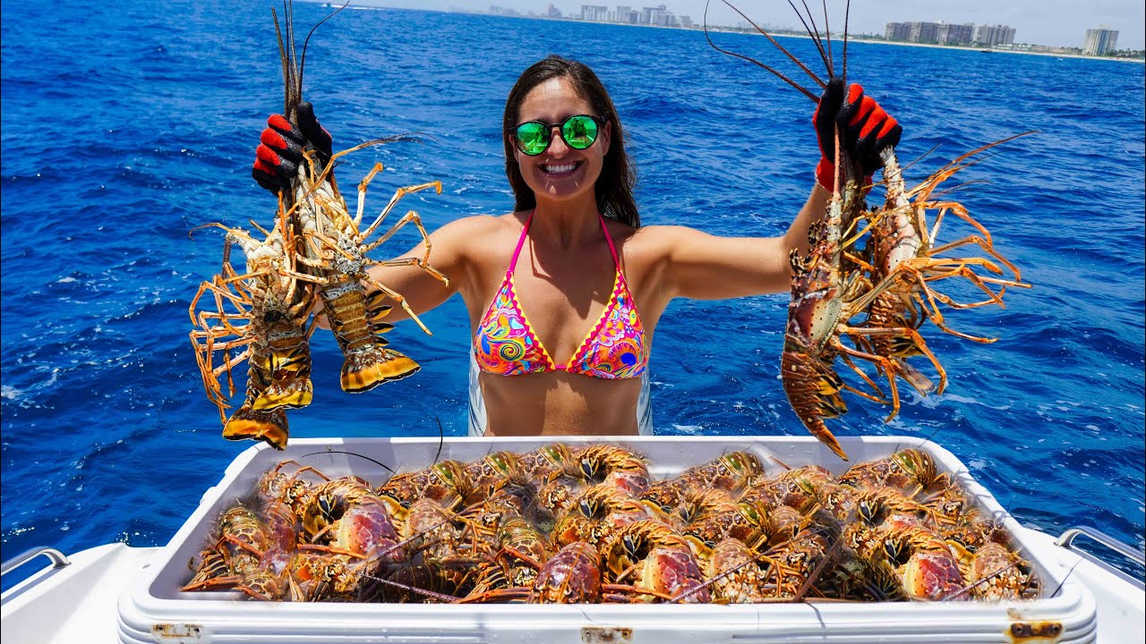 DIVING for LIMITS of LOBSTER!! Catch, Clean, & Cook!! Florida Mini Season