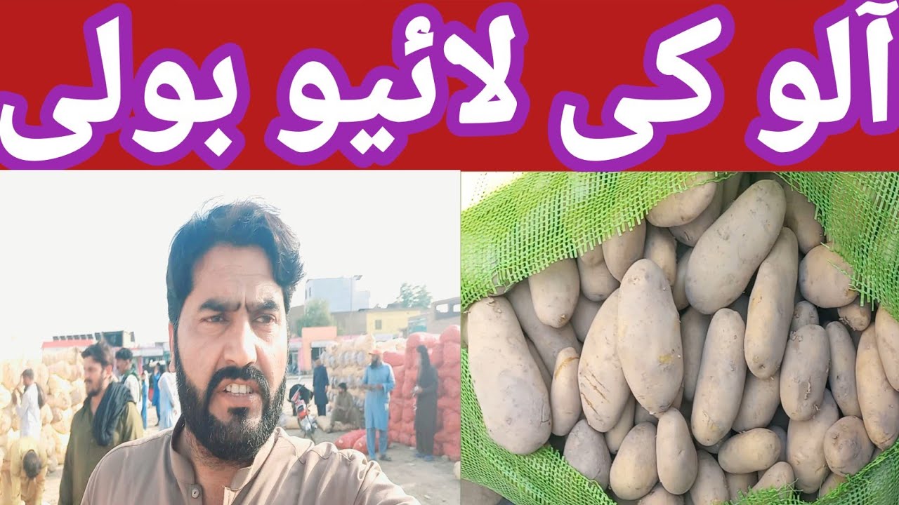 Alo ki live boli #ptato #marketing #farming #vagetable #vairlvidoe 