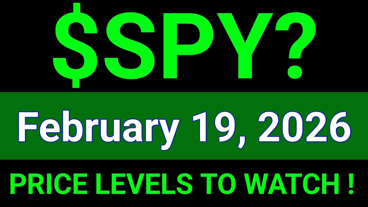 SPY Stock (SPDR S&P 500 ETF Trust) SPY Stock Analysis | February 19, 2026