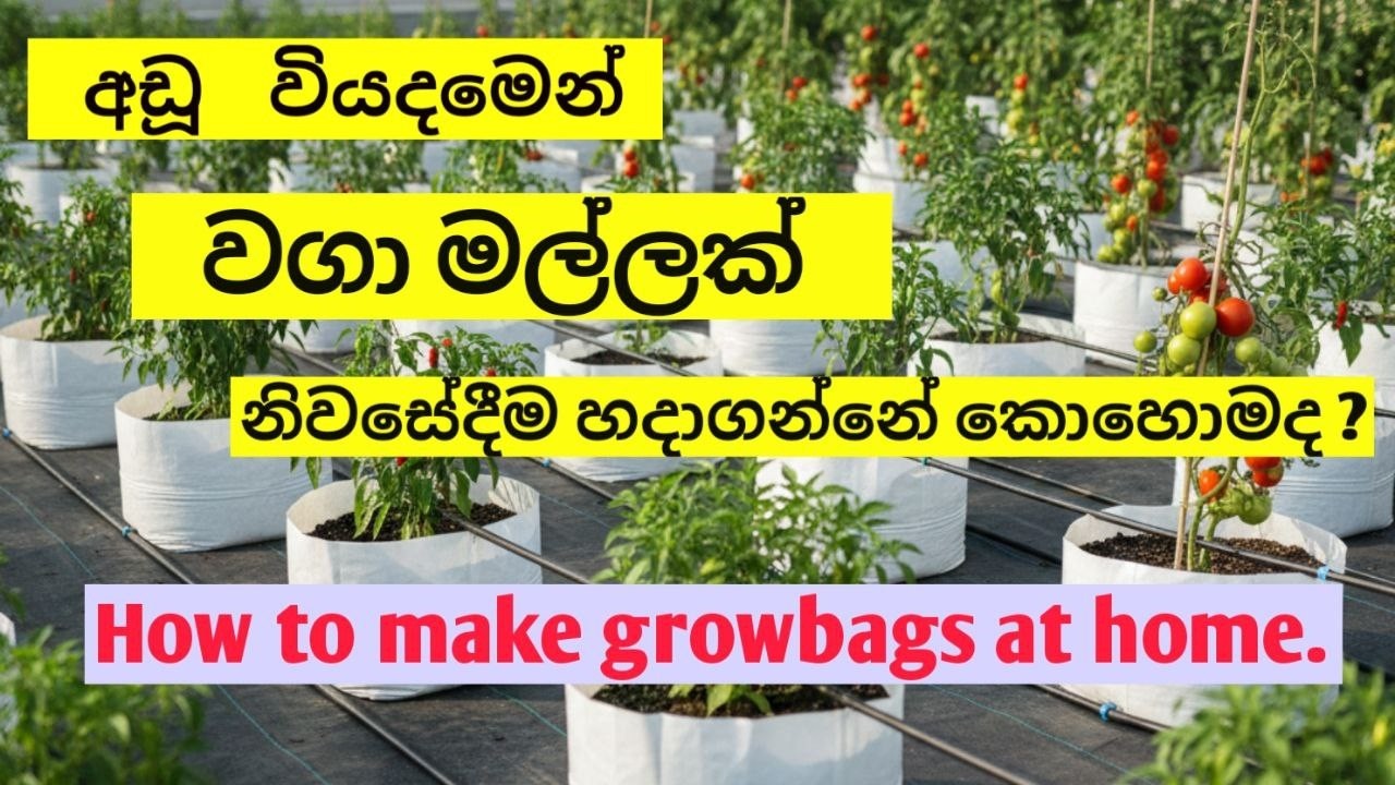 අඩු වියදමෙන් කොහොමද  වගාමල්ලක් නිවසේදීම හදාගන්නේ?