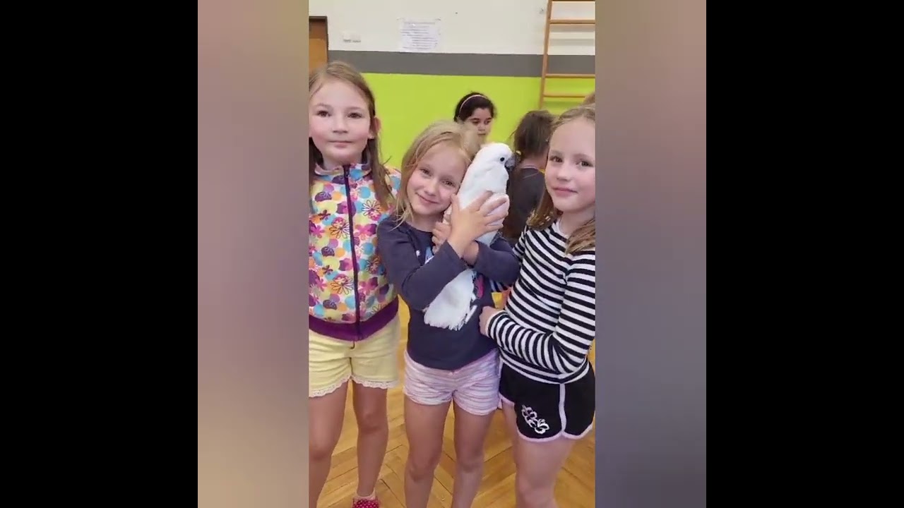 Bozky & Pohladenia v Arakove