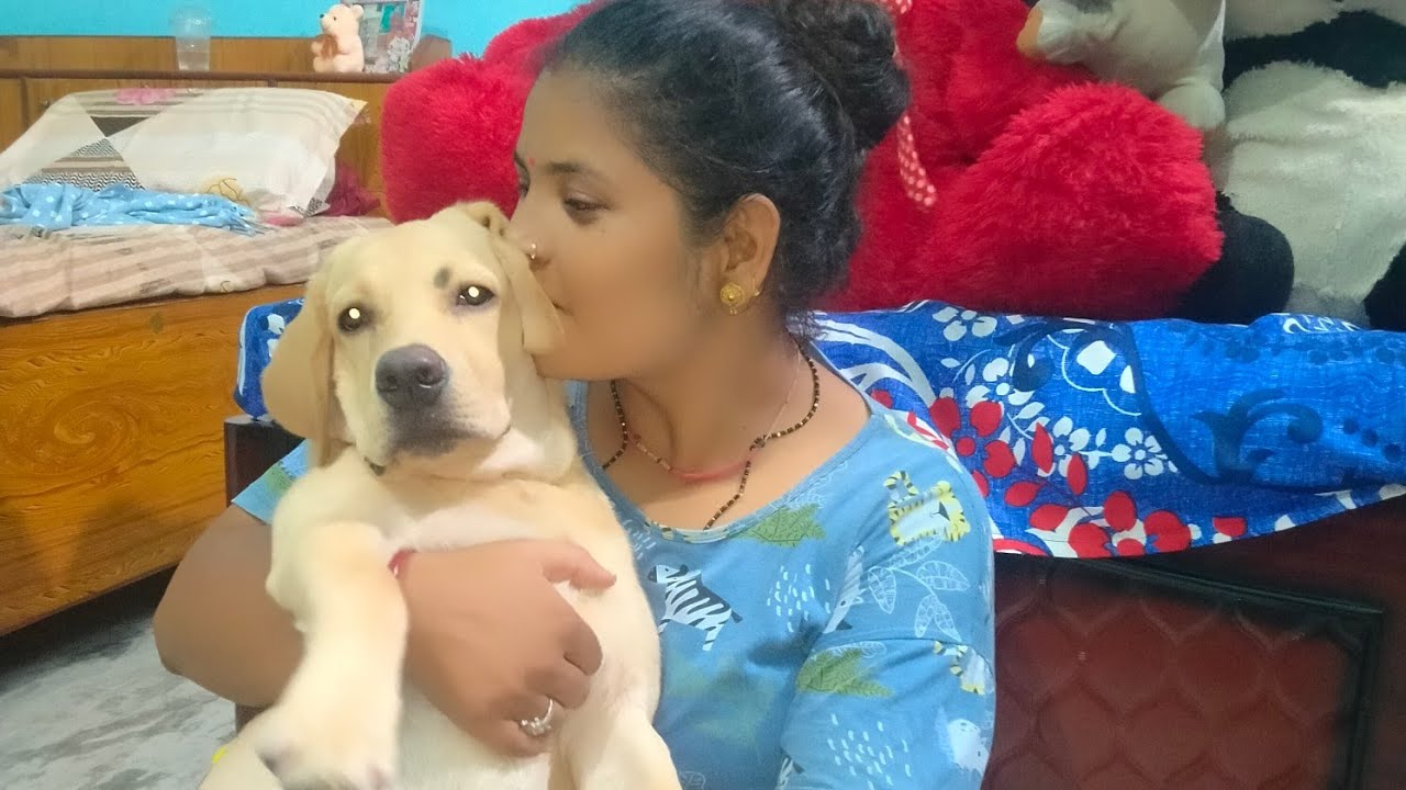 Hugging Another Dog Too Long | Jealous Dog Reaction