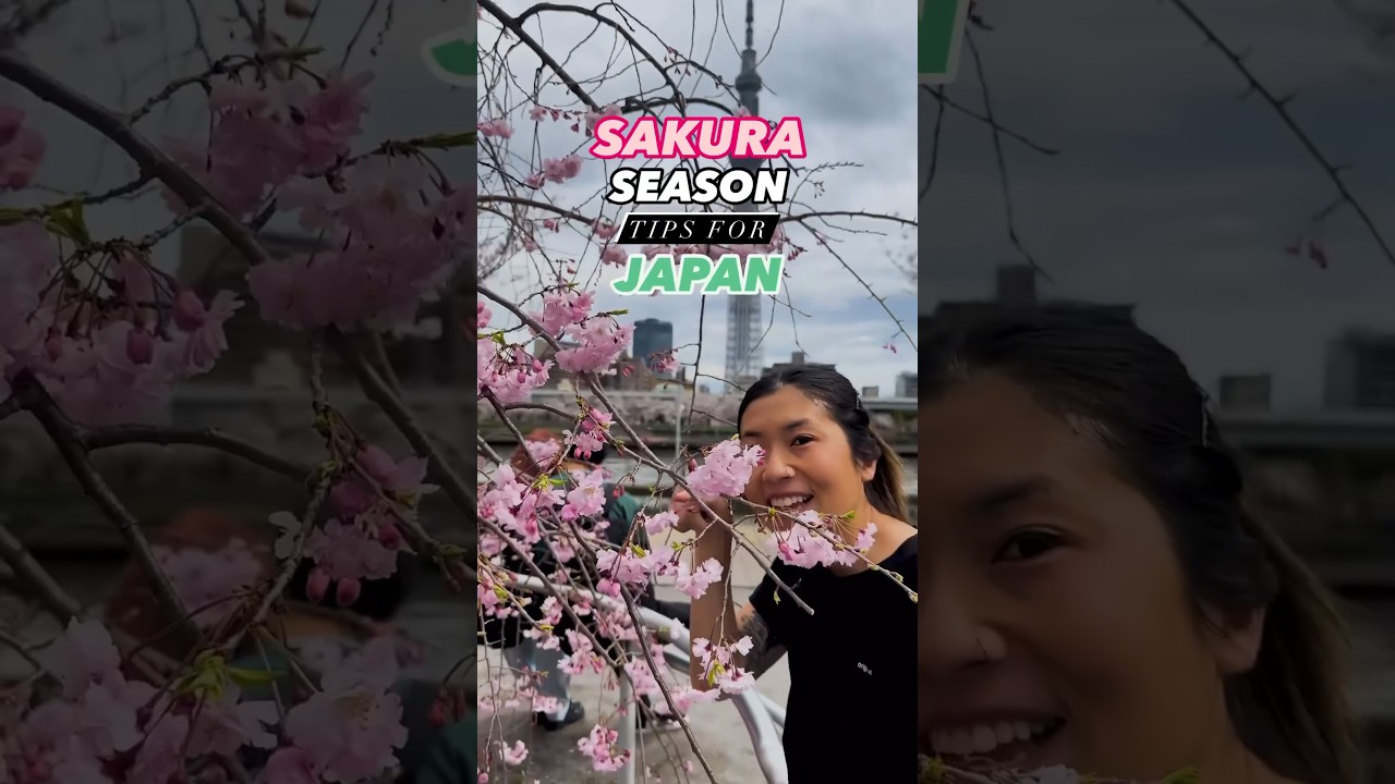 КАК ПОДГОТОВИТЬСЯ к сезону цветения сакуры в Японии! 🌸🇯🇵