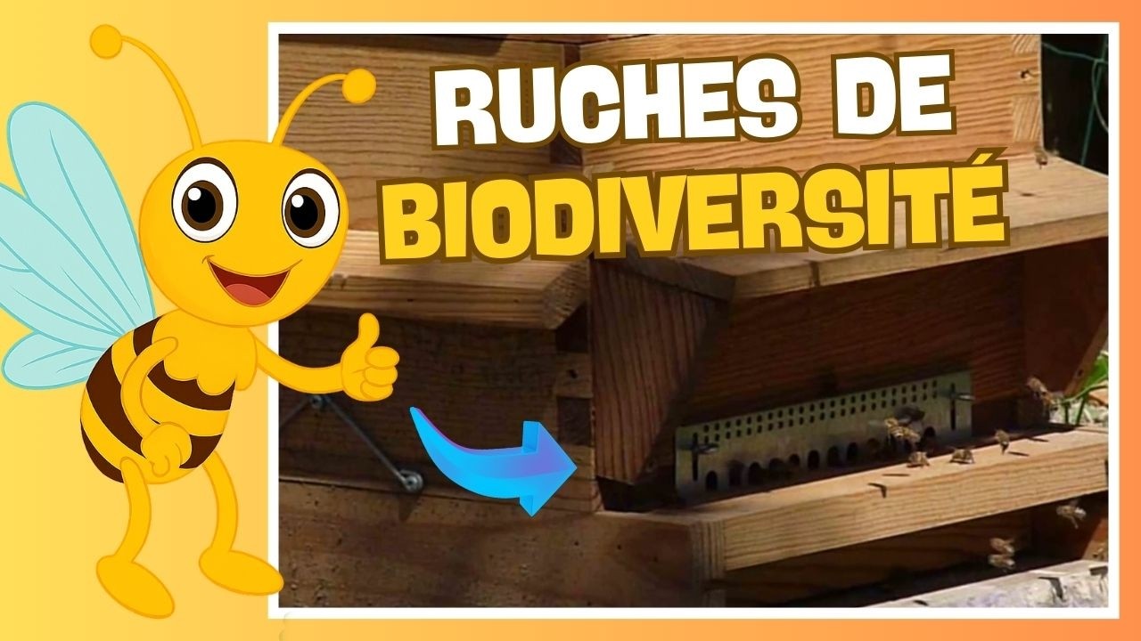 🐝 Ruches de biodiversité