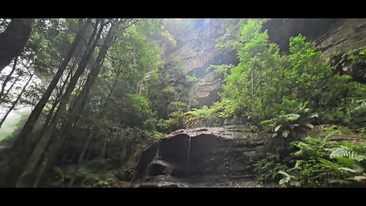 Walking tour Scenic Walkway in Blue Mountain