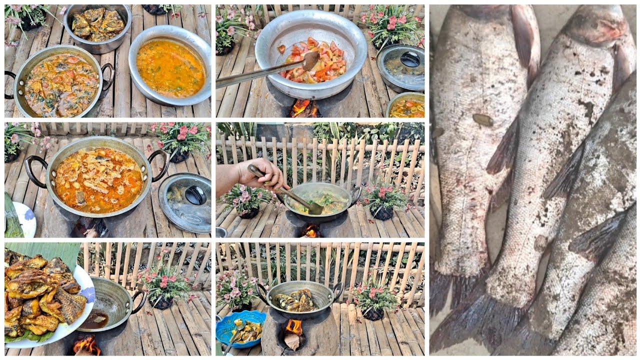 রমজান উপলক্ষে পুকুর থেকে টাটকা মাছ ধরল।আজকের সেহেরি তে পুকুরের মাছ রান্না করলাম 