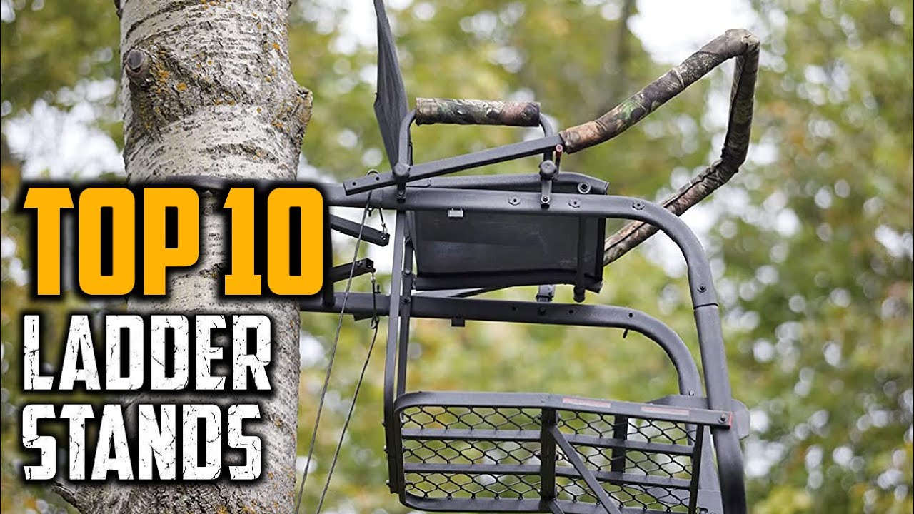 Top 10 Best Ladder Stands in 2024