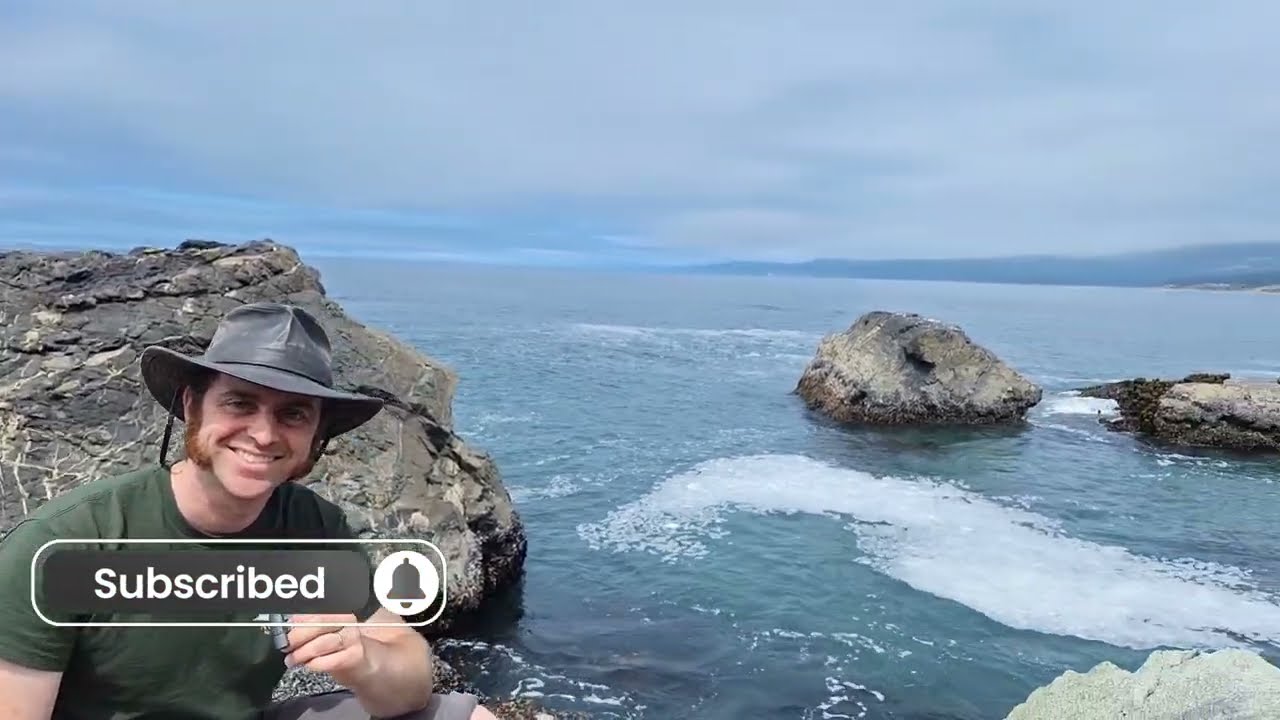 Exploring the Intertidal Zone