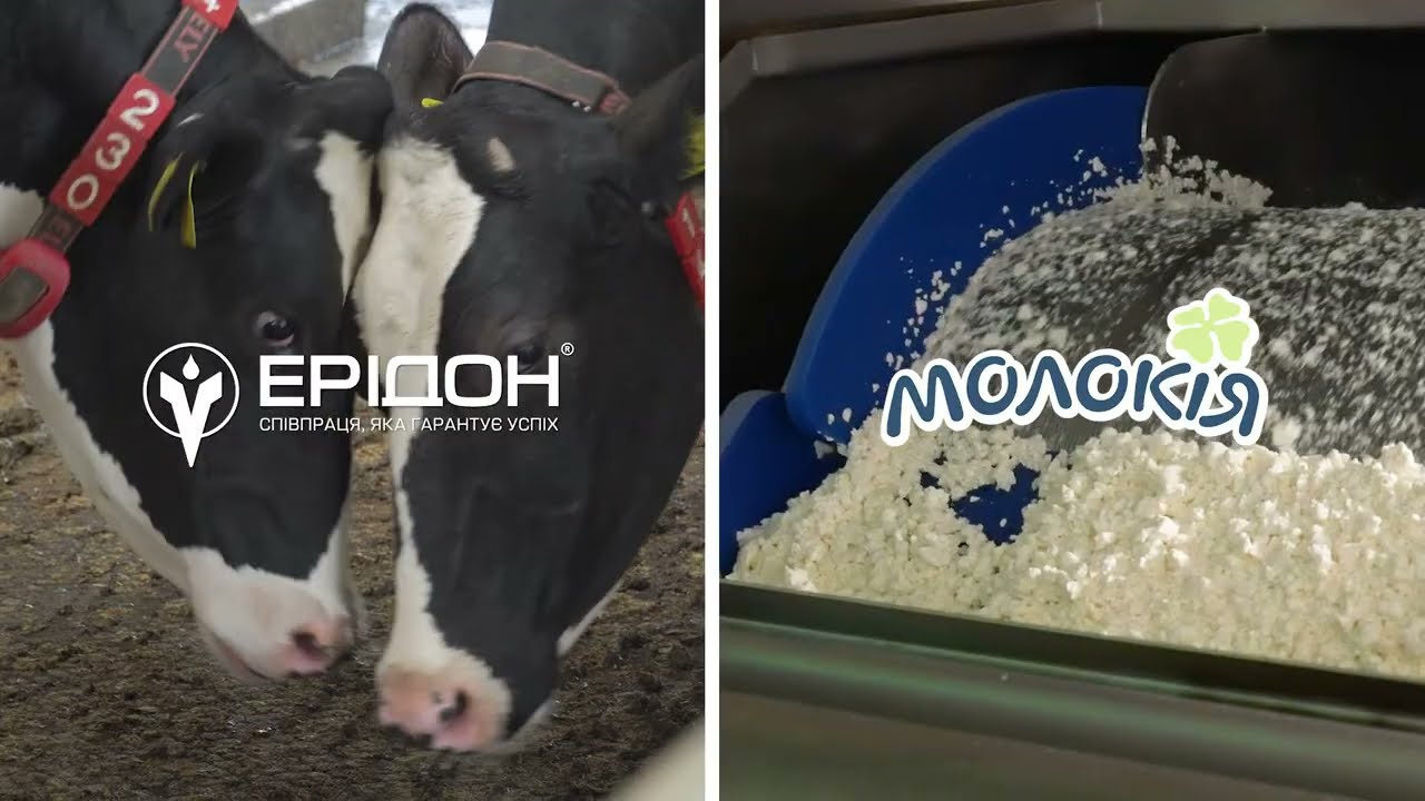 Як виготовляється молочна продукція 