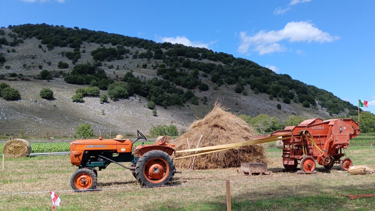 Trebbiatura 2025 presso Azienda agricola Cestari  Tardiano di Montesano (SA)