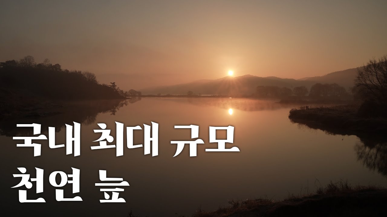 우리나라 최대의 자연 늪지, 우포 늪 위대한유산100경 83경 창녕 우포늪