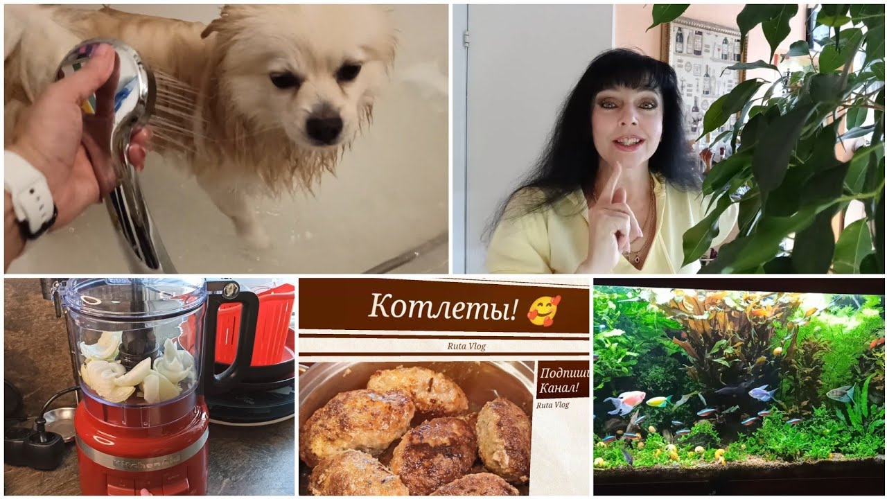 Латвия / Два Дня из Моей Жизни / Ruta Vlog Рига @HozajushkaRuta @RutaLutkevica