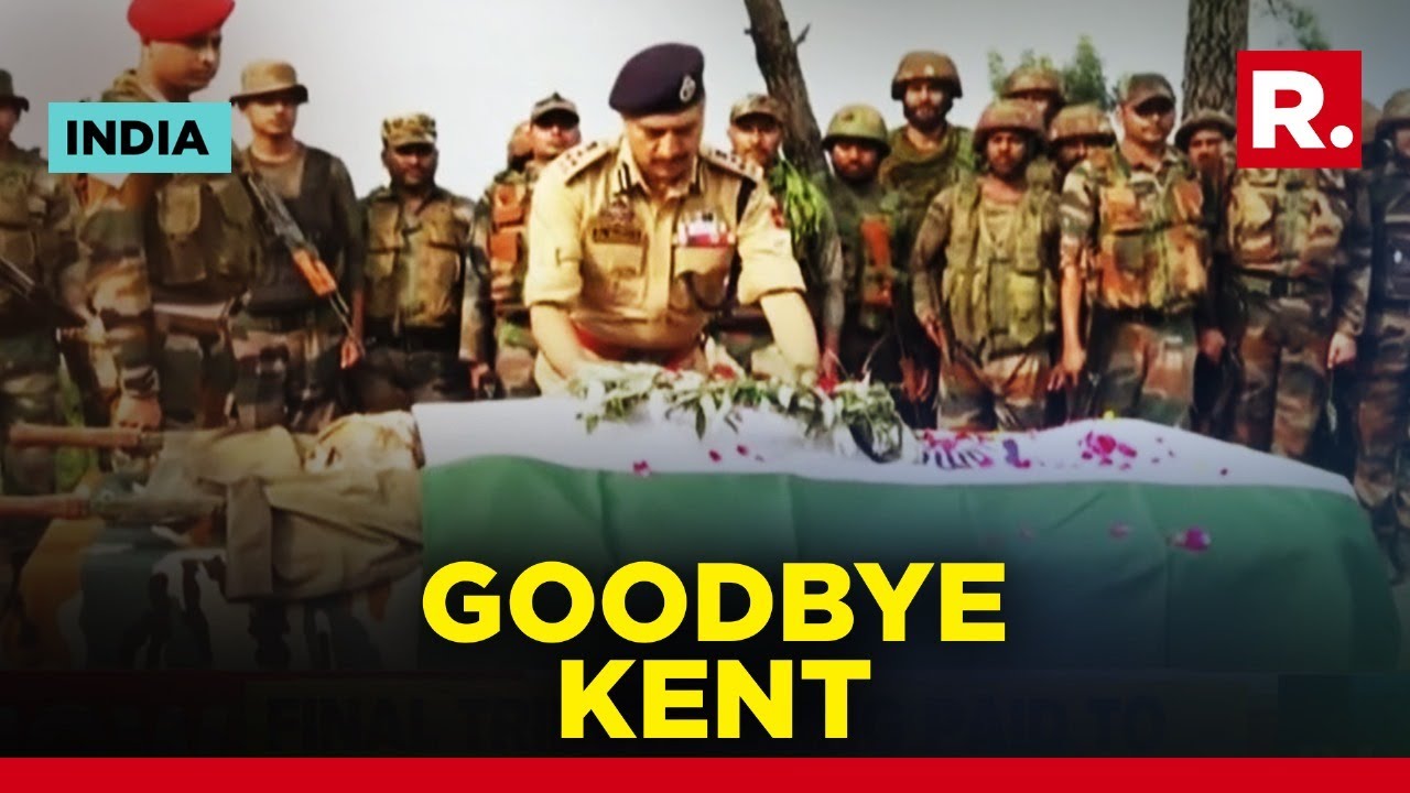 Indian Army Bids Emotional Farewell To Brave Dog Kent Who Died Saving Soldier From Terrorists