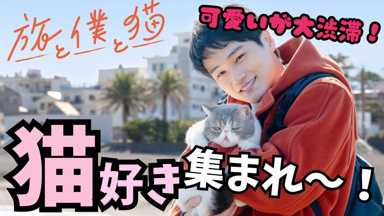 【旅と僕と猫】まだ間に合うから見て！リブート出演のネクストブレイク俳優が光るとにかくかわいい猫旅深夜ドラマ【中川大輔】