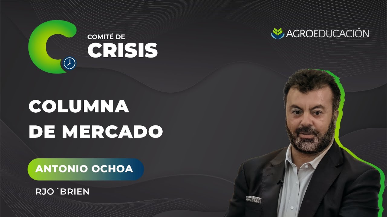 La Columna de Mercado de Antonio Ochoa