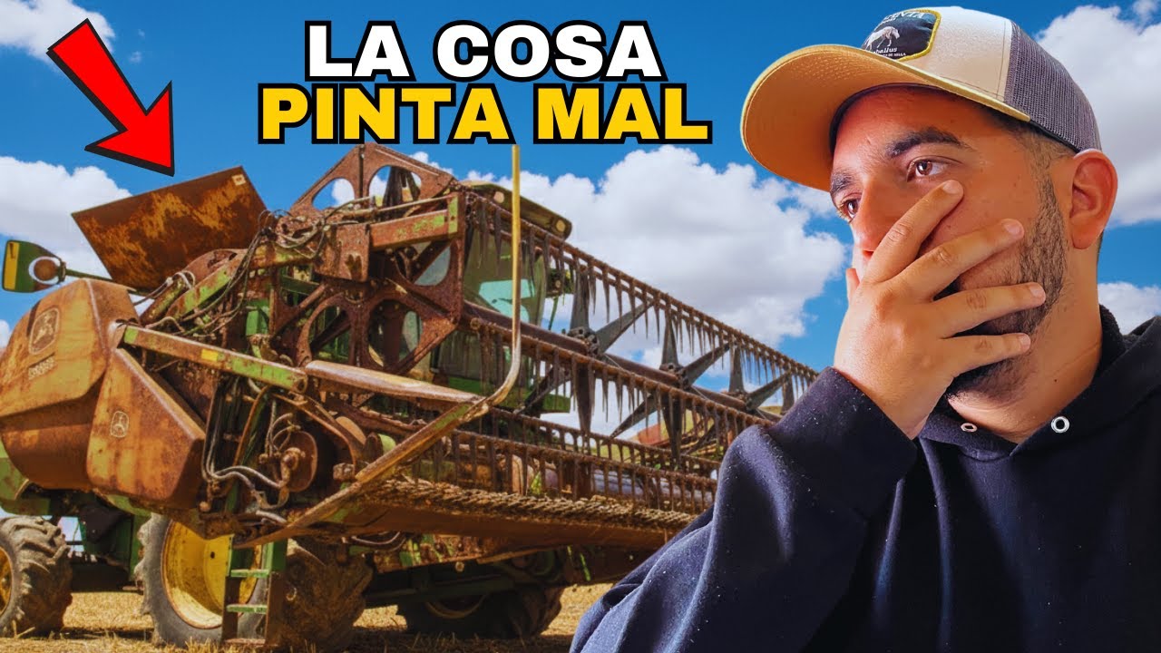 De MAL a PEOR la SIEMBRA de ARROZ en VENEZUELA