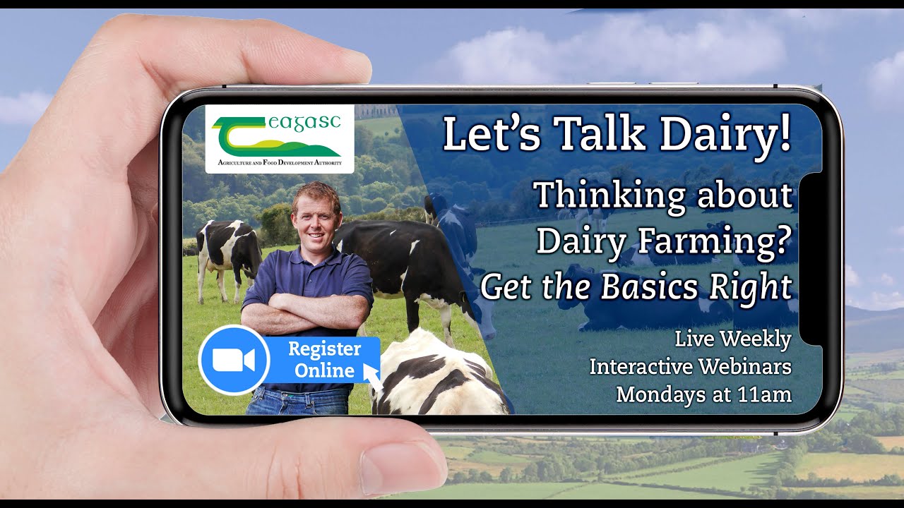 Thinking about Dairying? - Let's Talk Dairy Webinar