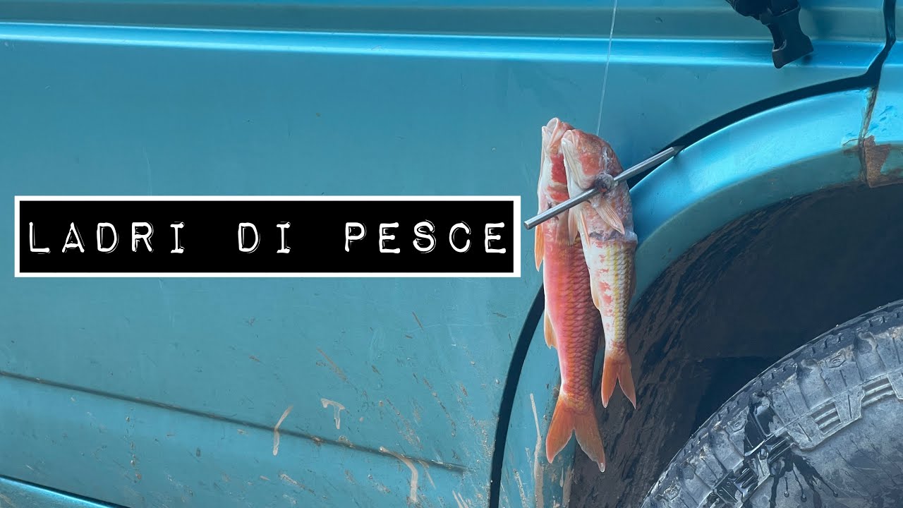 Due Nomadi Digitali in CAMPER in Grecia: ci rubano il pesce