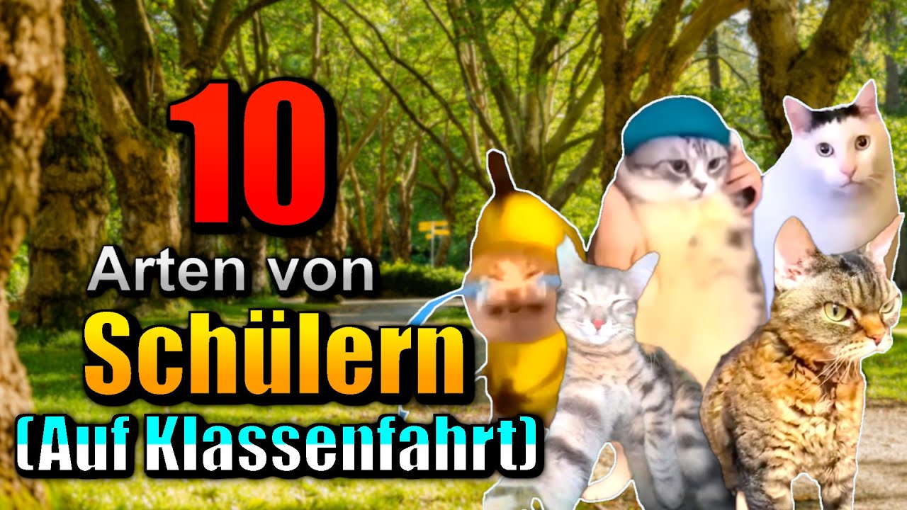 10 Arten von SCHÜLERN auf KLASSENFAHRT! 😛