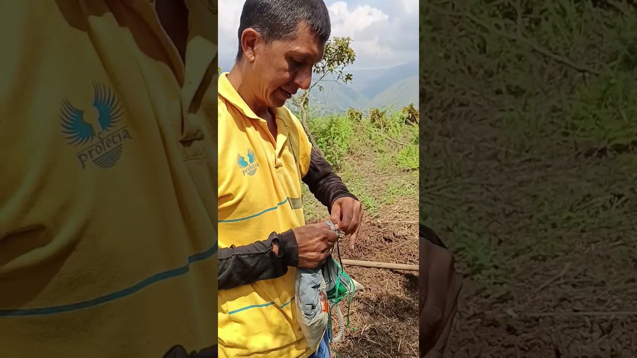 Preparando compost