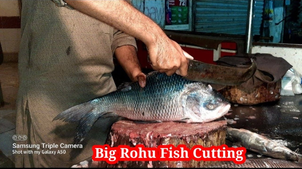Big Rohu Fish Cutting Skills In Pakistan Fish Market | Fish Cutting Skills | Fish Cutting Videos