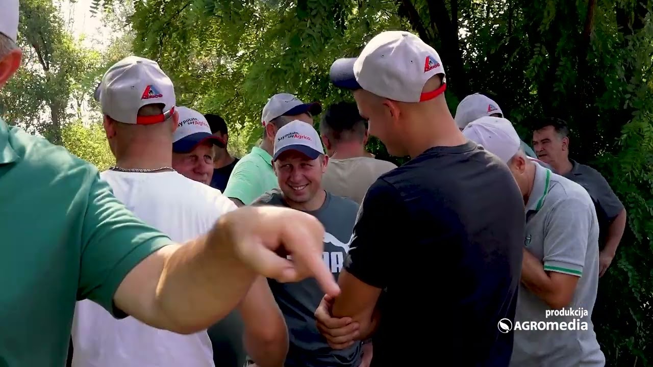 Sorte koje daju i do 80 tona KROMPIRA po hektaru!