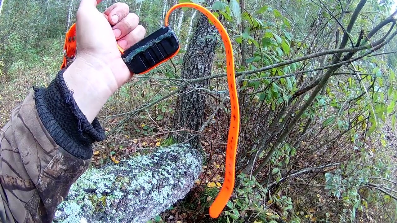 Охотничий GPS трекер IK122