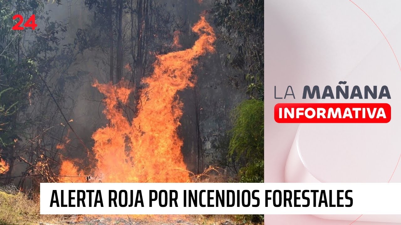 Alerta roja por incendios forestales: 