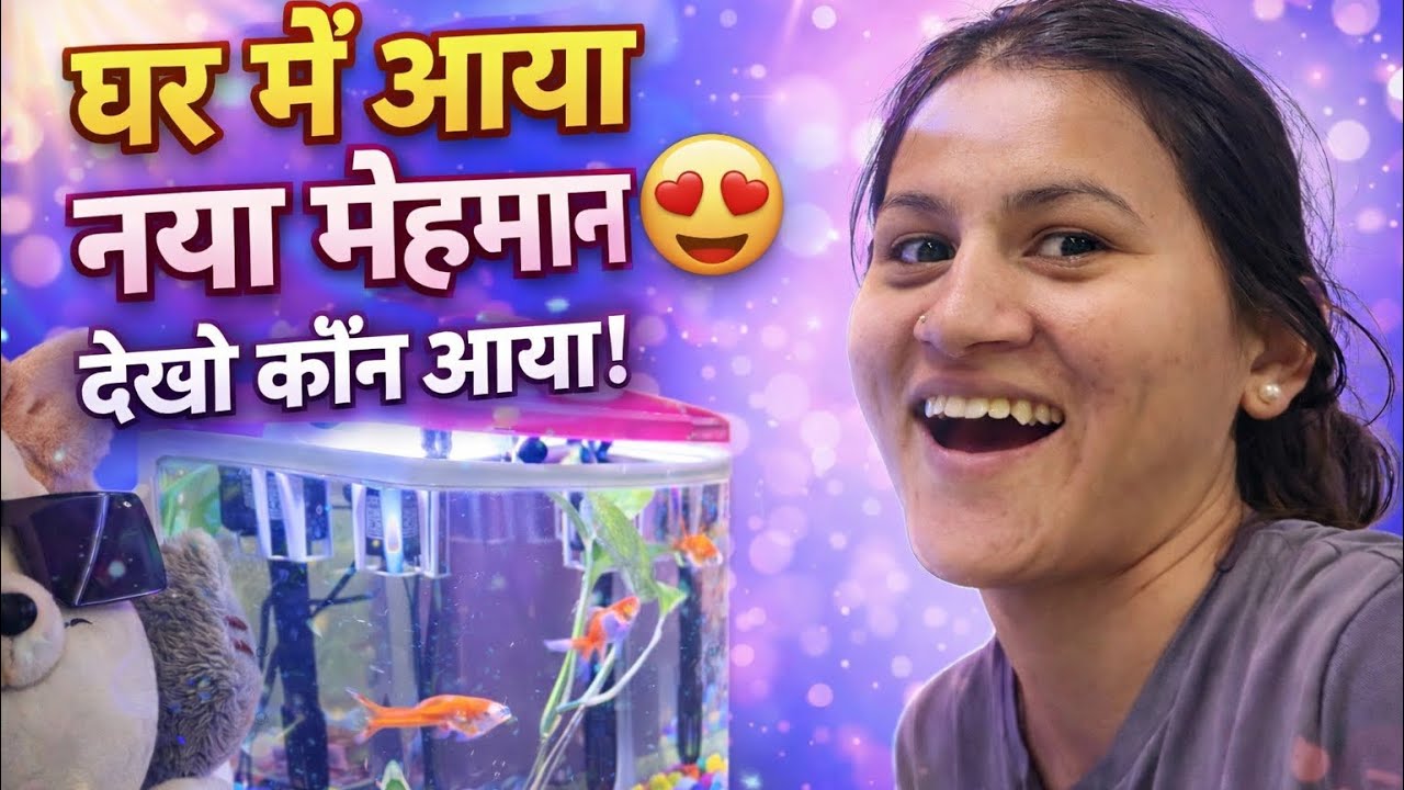 आज सब कुछ नया-नया सा लग रहा है #sandhyavloger 