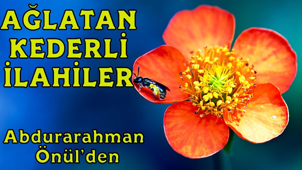 ABDURRAHMAN ÖNÜL'DEN AĞLATAN İLAHİLER / Bu Can Tenden Çıkar Gider