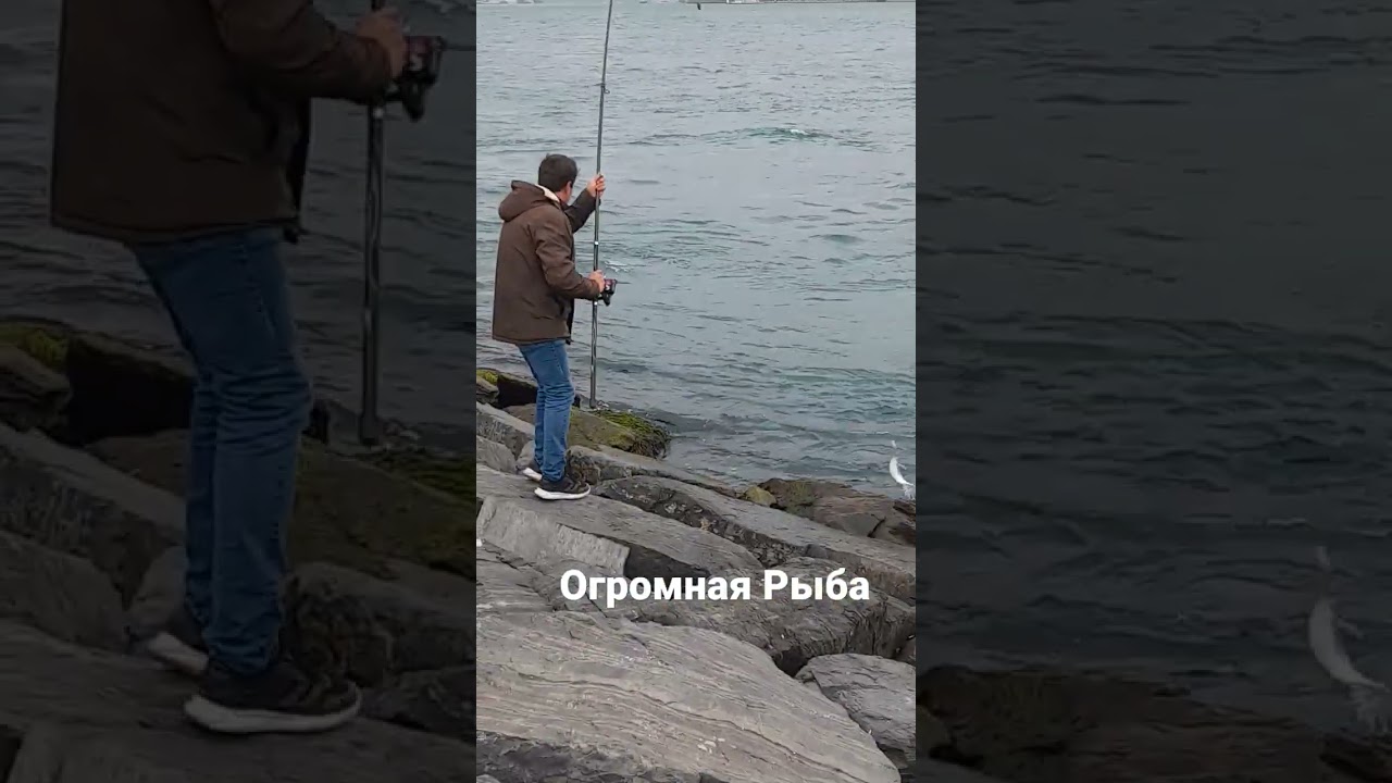 в Турции в Чёрном море рыбаки поймали большую рыбу босфорс