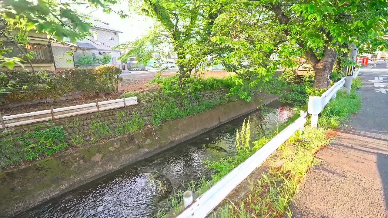 Walking to Tokyo Tama lake from Higashimurayama, Japan 2025 • 4K