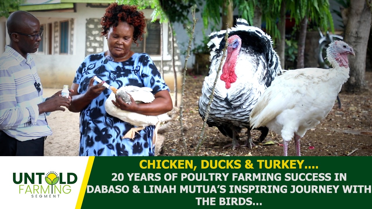 CHICKEN, DUCKS & TURKEY:20 YEARS OF POULTRY GAINS  & LINAH MUTUA’S INSPIRING JOURNEY WITH THE BIRDS…