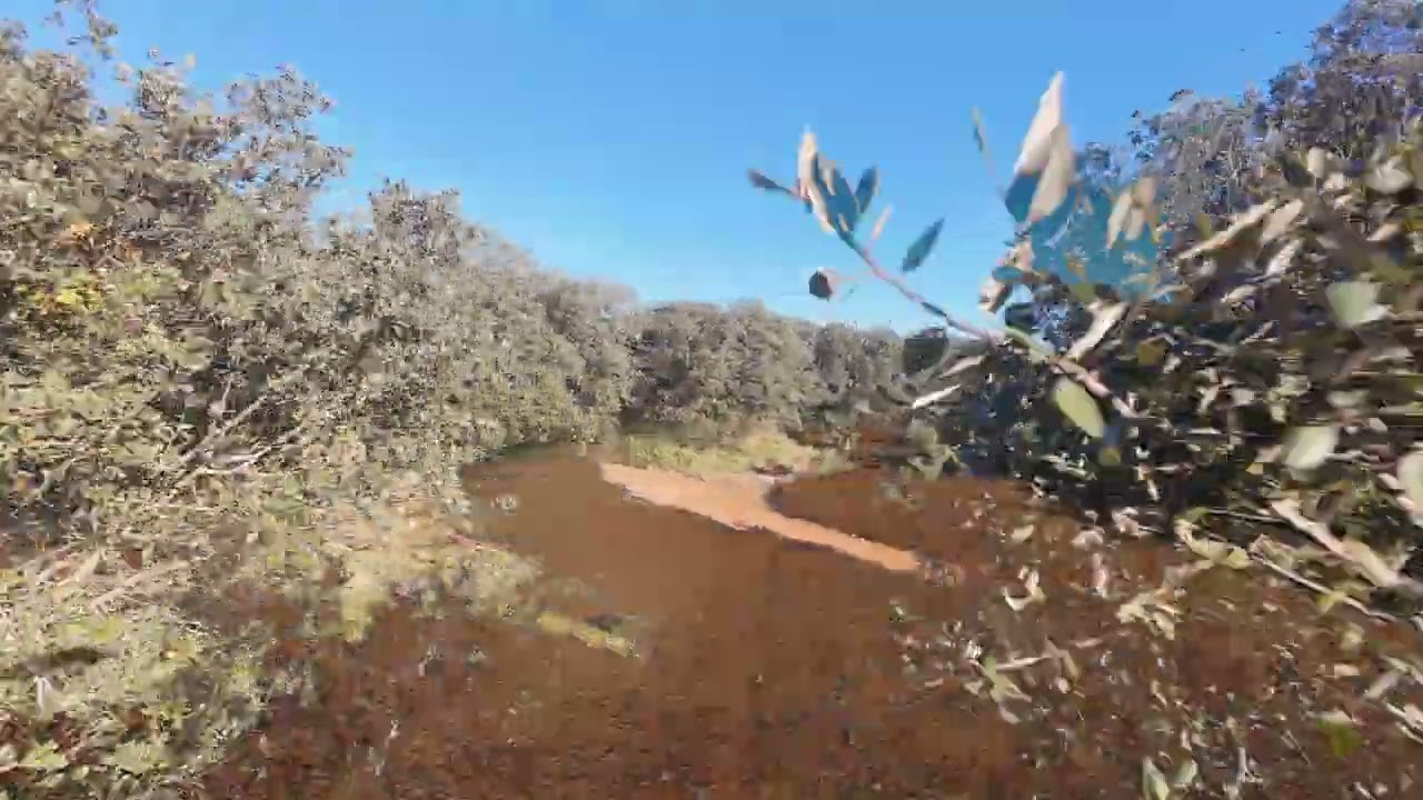 25 02 10 Balade drone Chêne vert garrigue