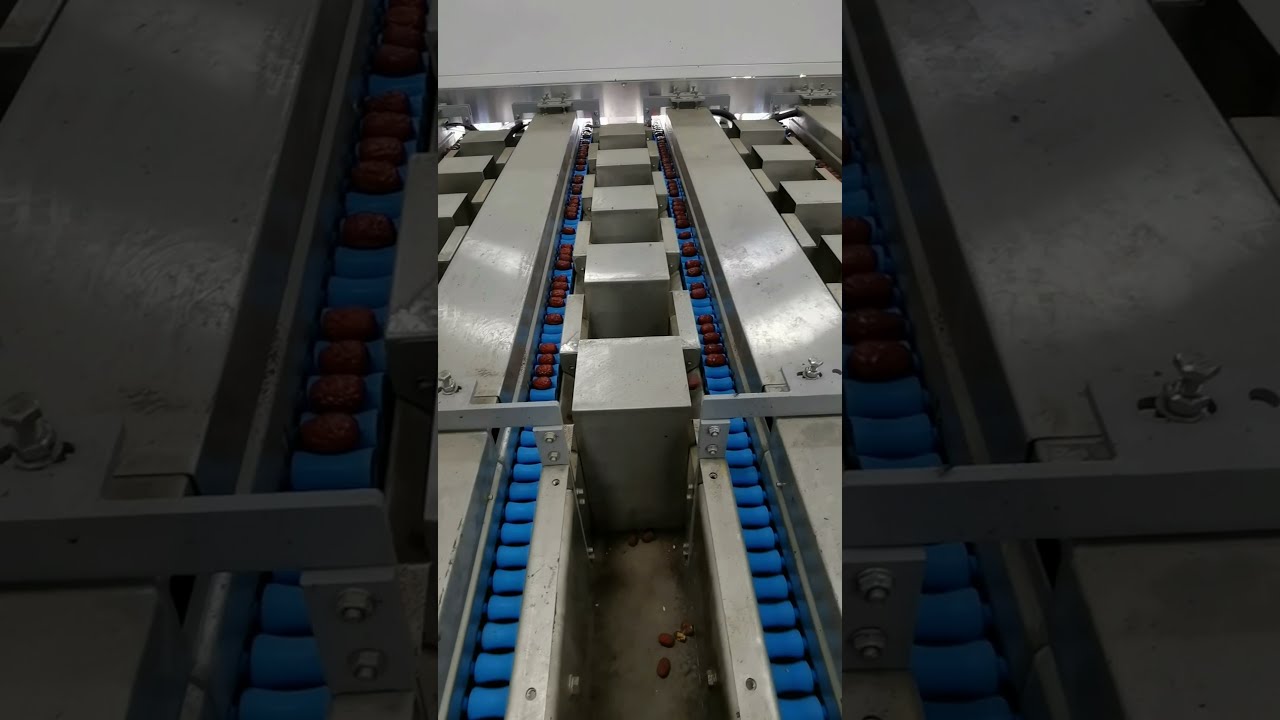 dates sorting and grading machine