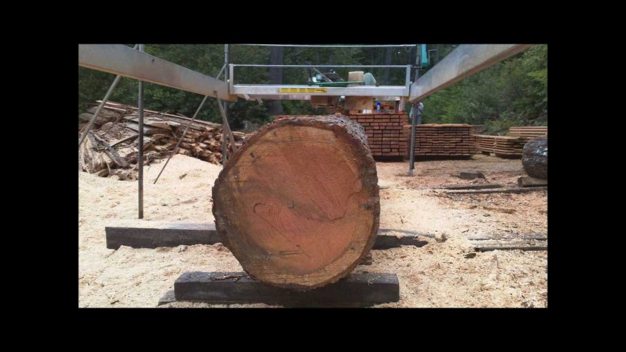 Lucas Portable Sawmill