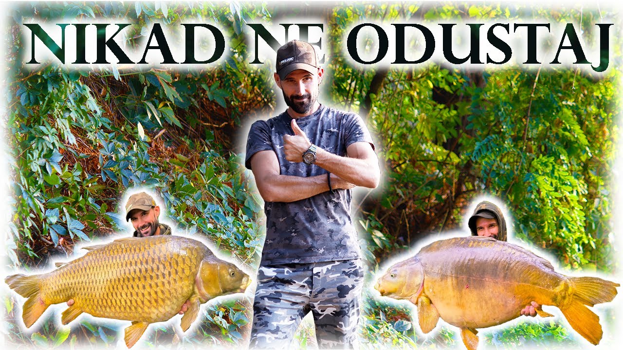 Nikad ne odustaj i veruj u ono što radiš !