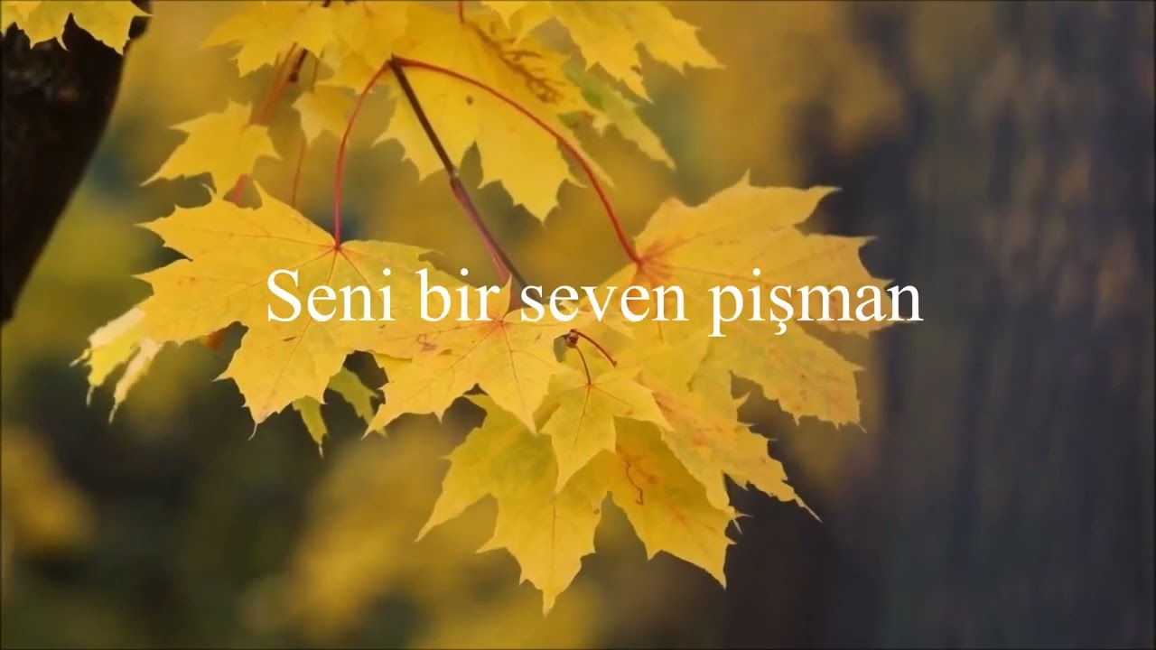 UNUTUR SANMA SAKIN KARAOKE