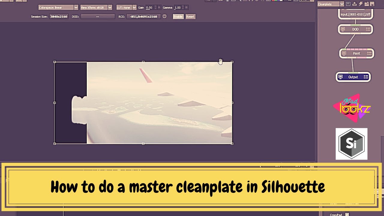 Silhouette paint tutorial | How to do a master clean plate in Silhouette 2020 | #madlookzvfx