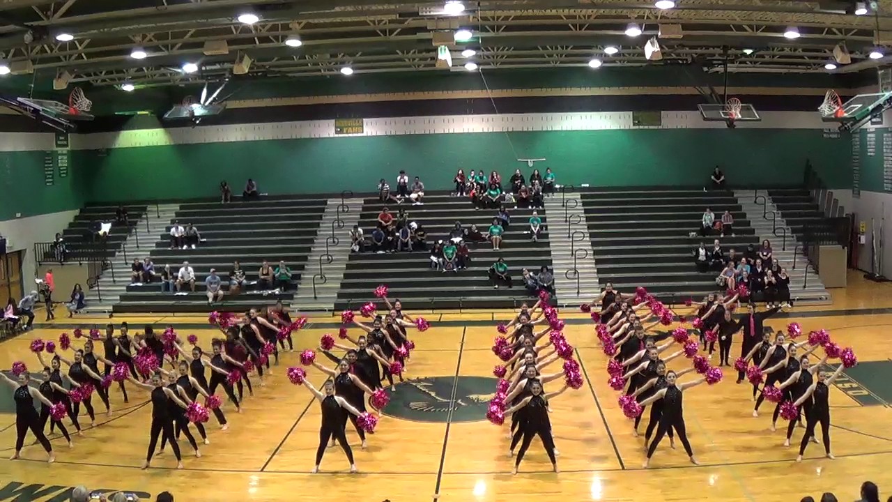 Beginner Dance Pom
