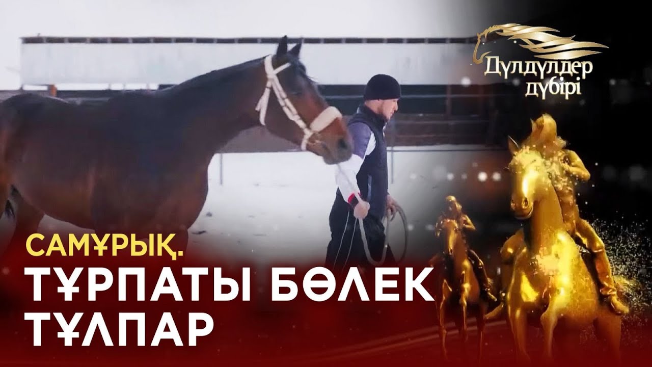 Самұрық. Тұрпаты бөлек тұлпар. Бәйге. «Дүлдүлдер дүбірі»